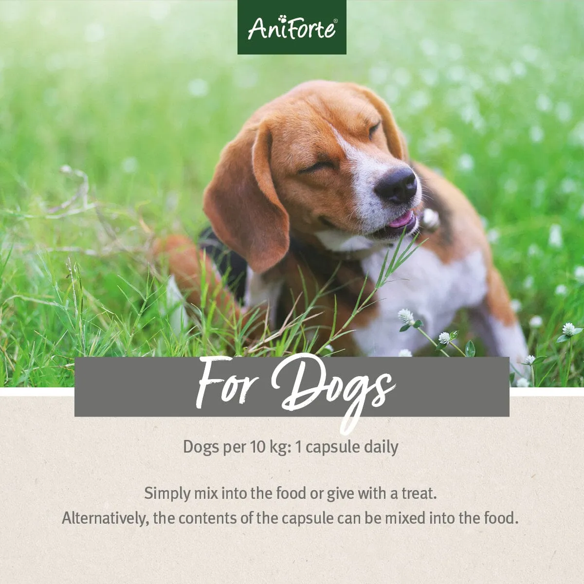 Tick Shield for Dogs - 60 Capsules